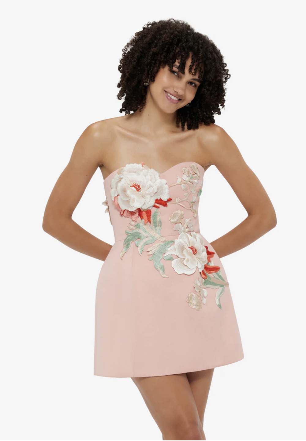 Leo Lin - Applique Bustier Mini